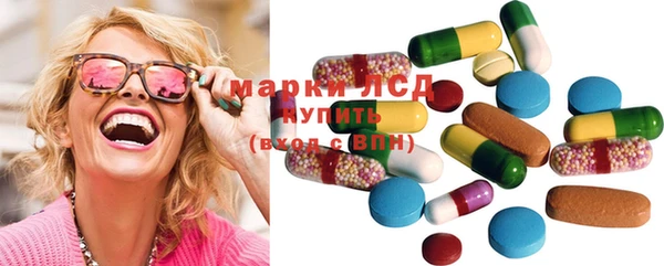 гидра Елабуга