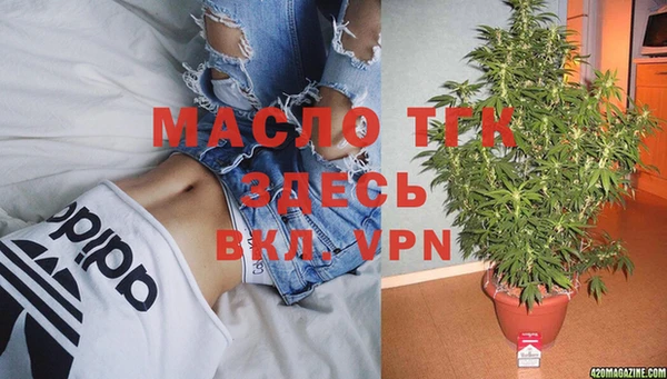 гидра Елабуга