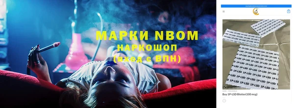 гидра Елабуга