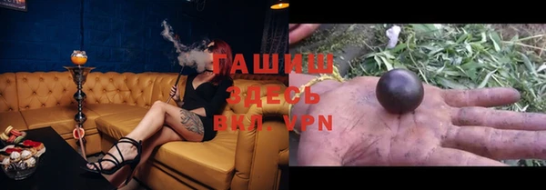 гидра Елабуга