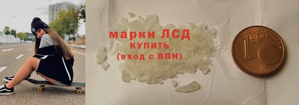 гидра Елабуга