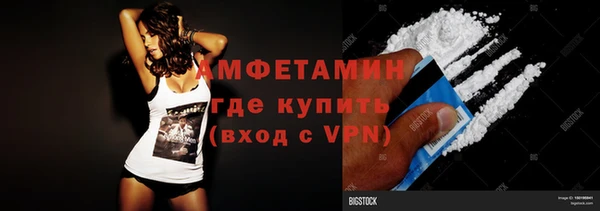 гидра Елабуга