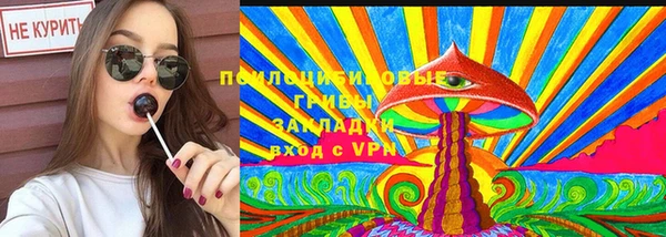 гидра Елабуга