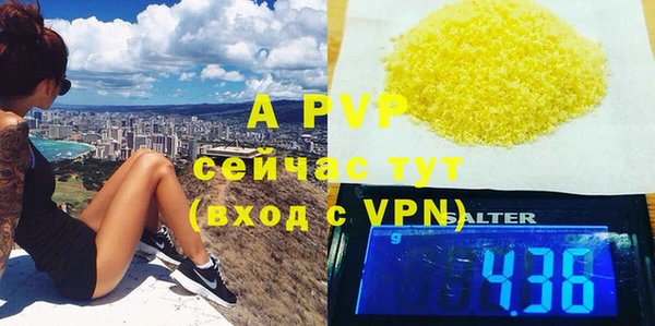 ПСИЛОЦИБИНОВЫЕ ГРИБЫ Ельня