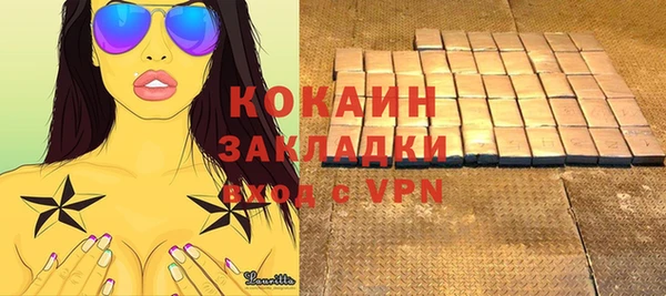 гидра Елабуга