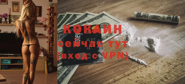 сатива Заволжье