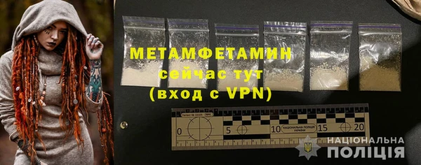 ПСИЛОЦИБИНОВЫЕ ГРИБЫ Ельня