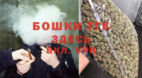сатива Заволжье