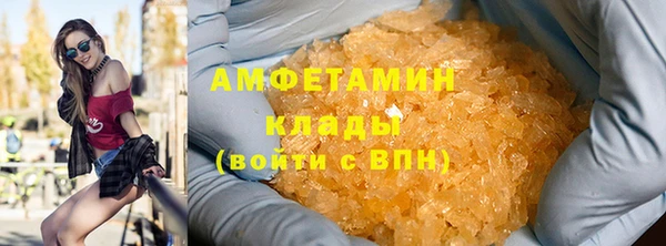 ПСИЛОЦИБИНОВЫЕ ГРИБЫ Ельня
