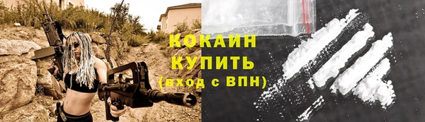 не бодяженный Заводоуковск