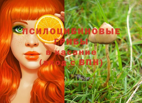 гидра Елабуга