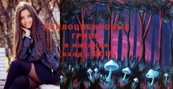 не бодяженный Заводоуковск