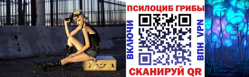Галлюциногенные грибы мицелий  Купить закладки  Грязи 